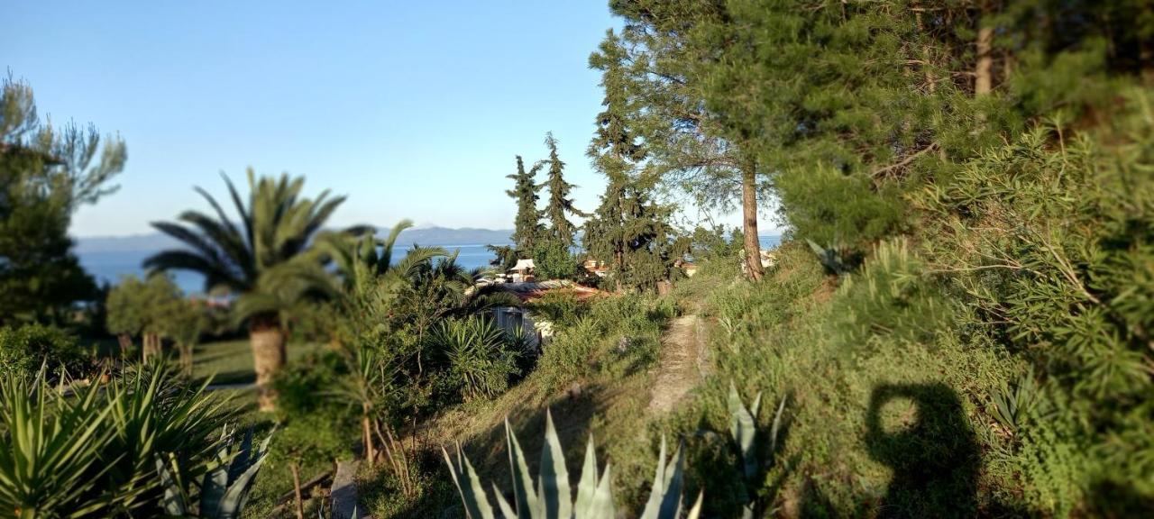 Seaside View Villa CChanioti Exteriér fotografie