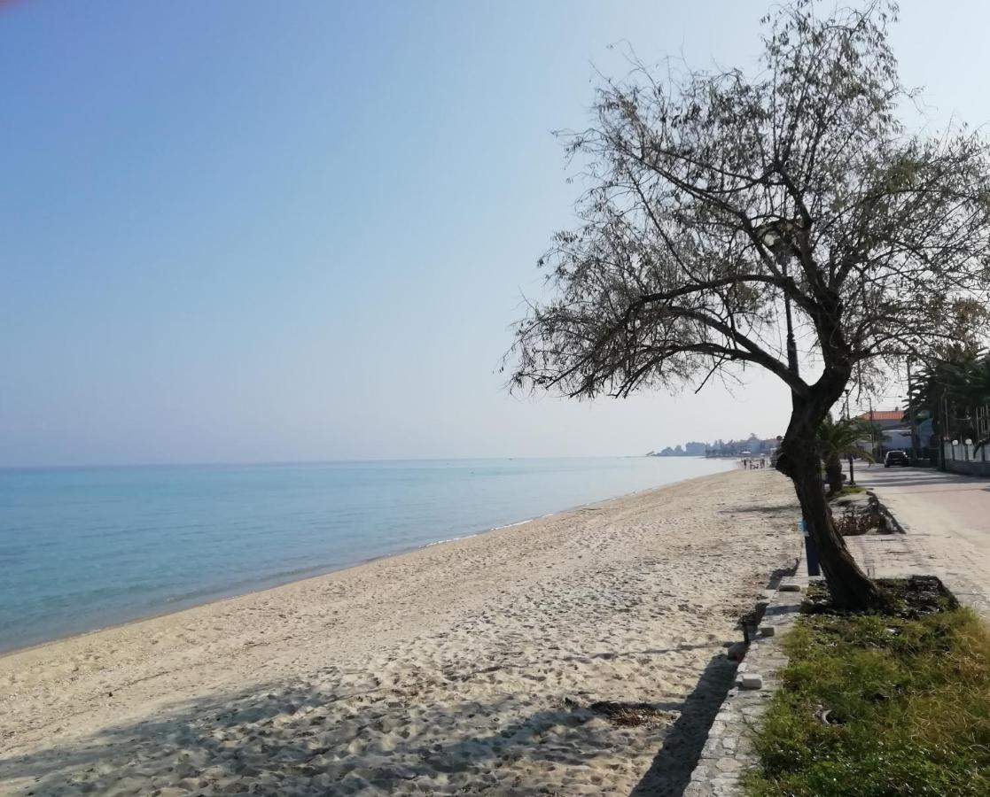 Seaside View Villa CChanioti Exteriér fotografie